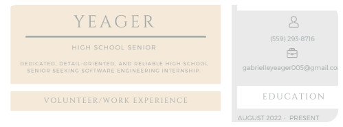 resume image